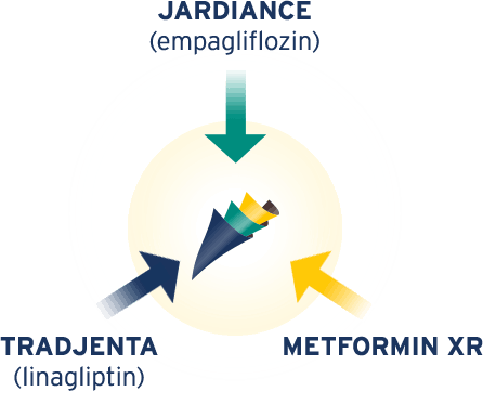 Jardiance, Tradjenta, and Metformin XR Make-Up Trijardy XR